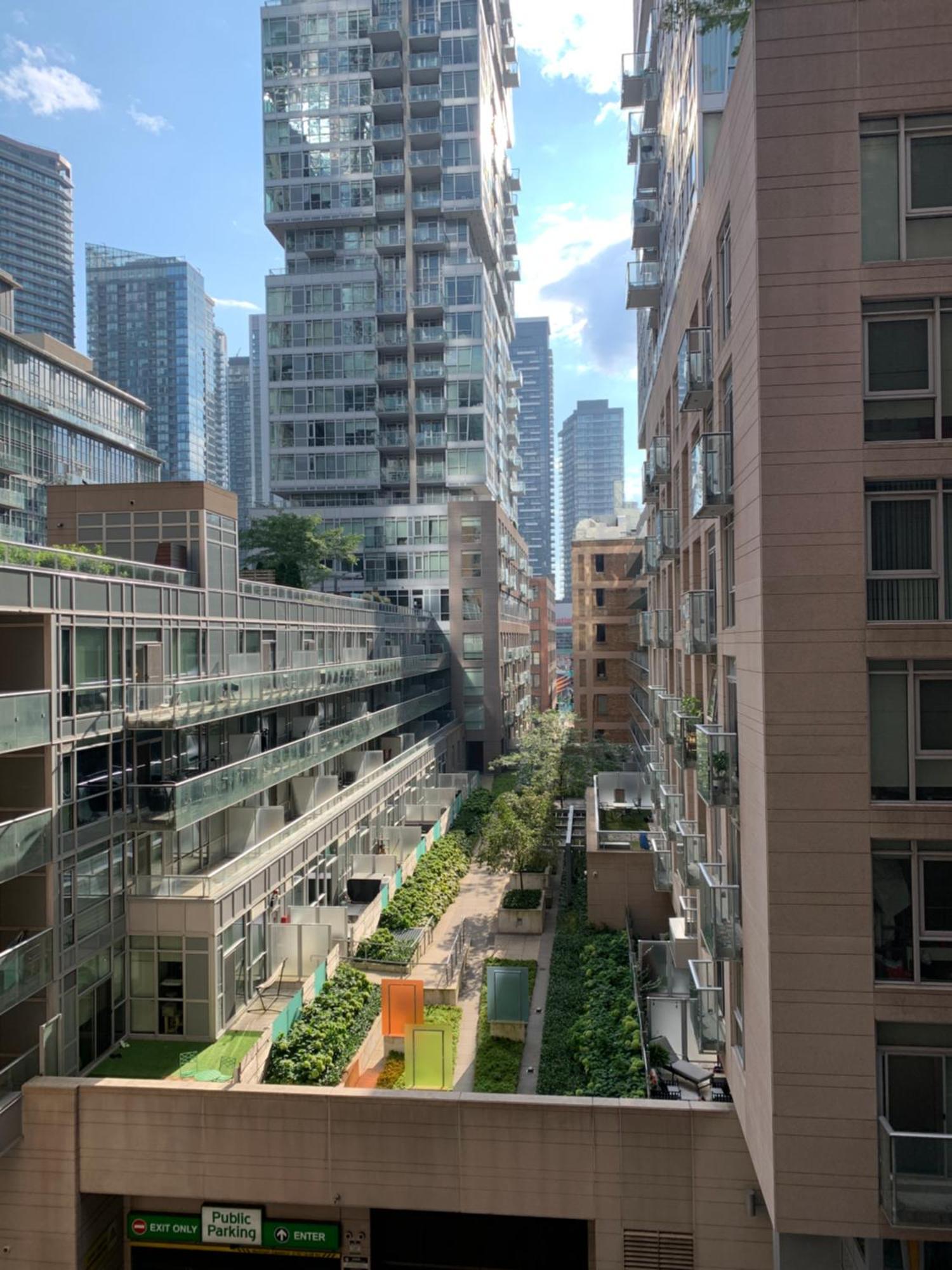 Boutique Suite Of Downtown 토론토 외부 사진
